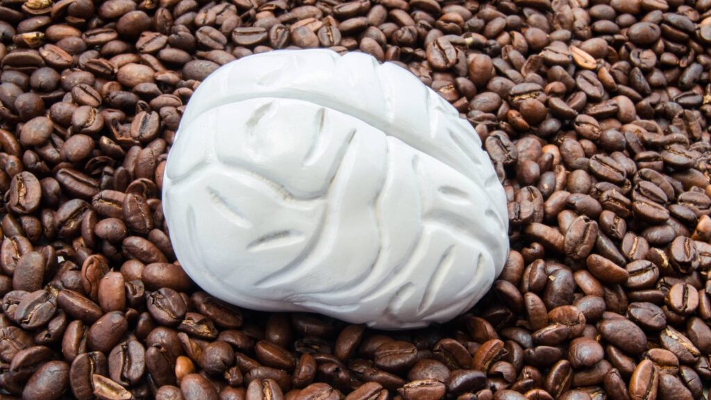 Kaffee lässt Gehirn schrumpfen